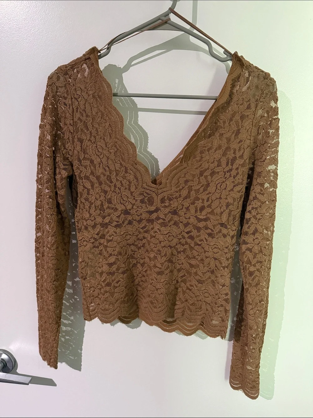 Zara Brown Lace V-Neck Long Sleeve Blouse Off the Shoulders